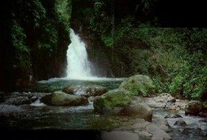 Anak sungai Taman Nasional Gunung Halimun