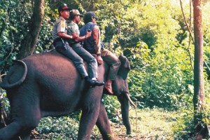 Patroli Gajah di TN Way kambas