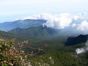 Pemandangan dari Puncak Gunung Gede
