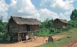 Rumah suku Anak Dalam di sekitar Taman Nasional
