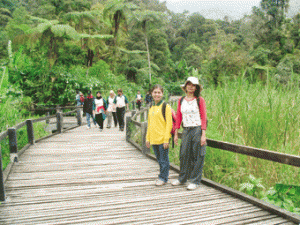 Jalur wisatawan di Taman Nasional Gunung Gede Pangrango.